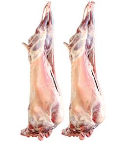 QURBANI